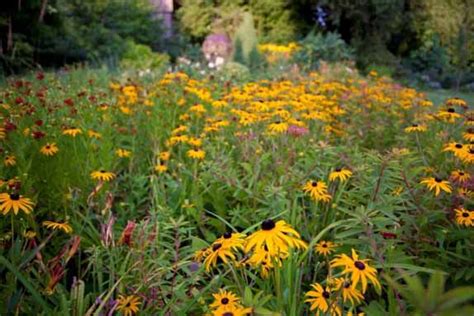 he castle s garden in August discover our perennial Château du