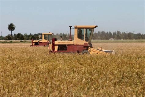 Taxing Pakistan’s agriculture sector: IMF push ‘a move in the right ...