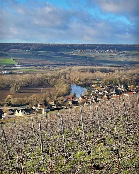 Región de Champagne Cuna de los mejores vinos espumosos