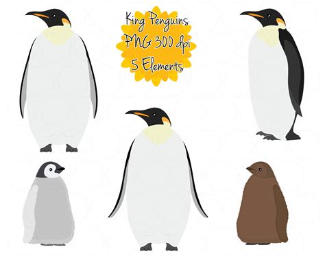 Baby King Penguins