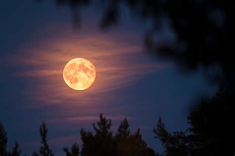 Discover the Beauty of the Full Moon: A Collection of 30+ Stunning Images