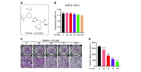 Elt Inhibits Rankl Induced Osteoclast Formation In Vitro A The