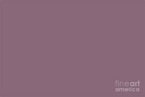 Passionate Mid Tone Pink Purple Solid Color Pairs To Sherwin Williams