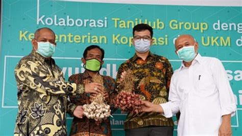 Tanihub Group Dan Kemenkop Ukm Terapkan Model Bisnis Korporatisasi Pada