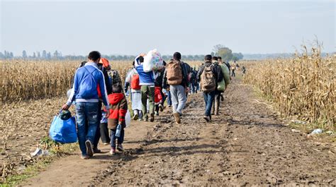 Asyl Ungarn Verst T Mehrfach Gegen Eu Recht