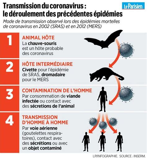 2019 nCoV coronavirus épidémie Le lexique pour tout comprendre du