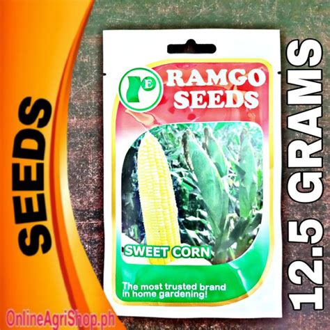 SWEET FORTUNE F1 HYBRID JAPANESE SWEET CORN SEEDS 12 5 GRAMS RAMGO