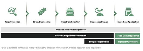 Precision fermentation partnerships: the key to success in the alt ...