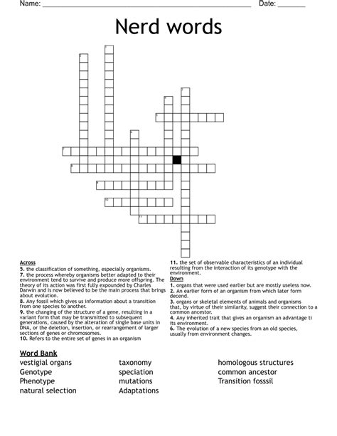 Nerd Words Crossword Wordmint