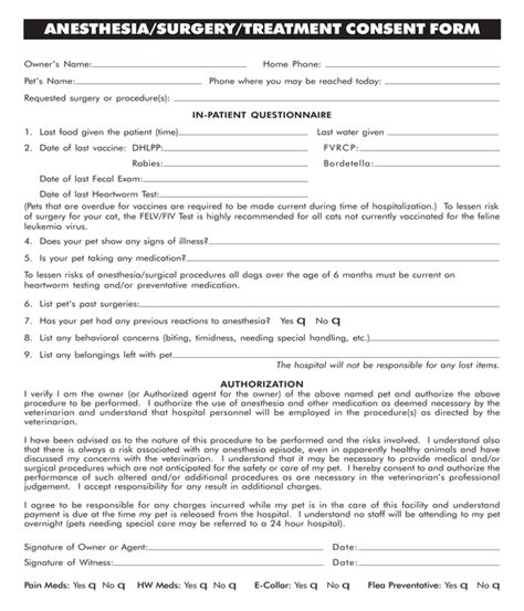 Veterinary Consent Form