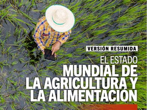 La Fao Revela Que La Automatizaci N Agr Cola Es Clave Para Aumentar La