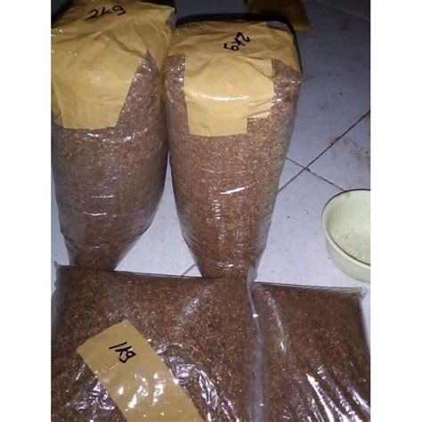 Jual Unggul 1 Ons Benih Biji Pohon Jabon Putih Siap Semai Shopee