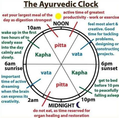 The Ayurvedic Clock — Wellness By Helen