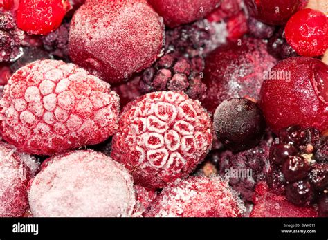 Frozen Raspberries Blackberries And Red Currents Covered With Frost