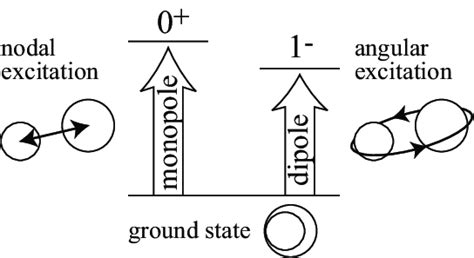 Is Monopole And Dipole Transitions Populate Nodal And Angular Excited