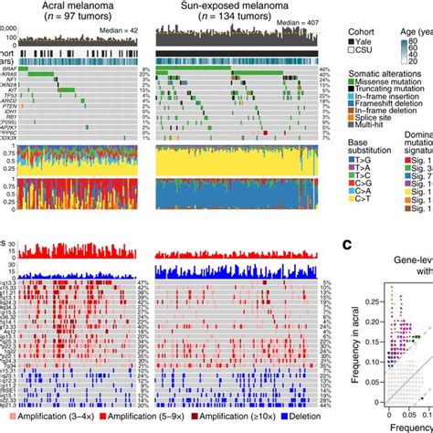 Landscape Of Somatic Alterations In Acral And Sun Exposed Melanomas A