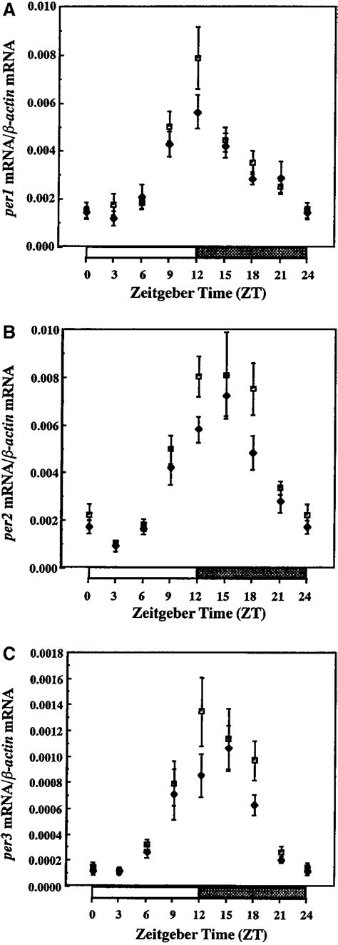 Comparison of per1 (A), per2 (B), and per3 (C) expression between ...