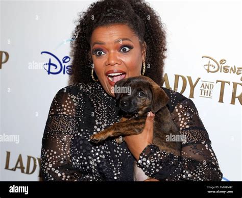 Yvette Nicole Brown attends a special screening of "Lady and the Tramp ...