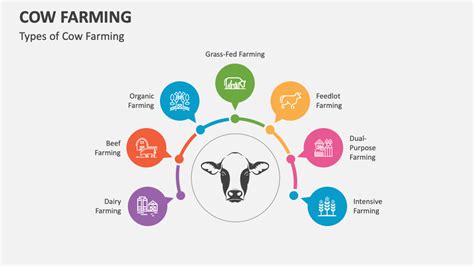 Cow Farming PowerPoint and Google Slides Template - PPT Slides