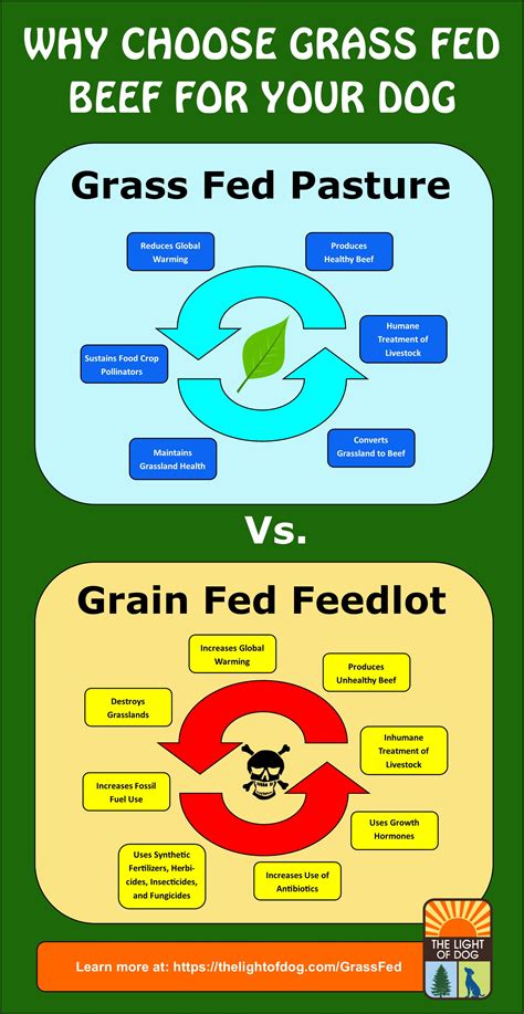 Surprising And A Little Shocking Data And Research Conclusions About The Benefits Of Grass Fed