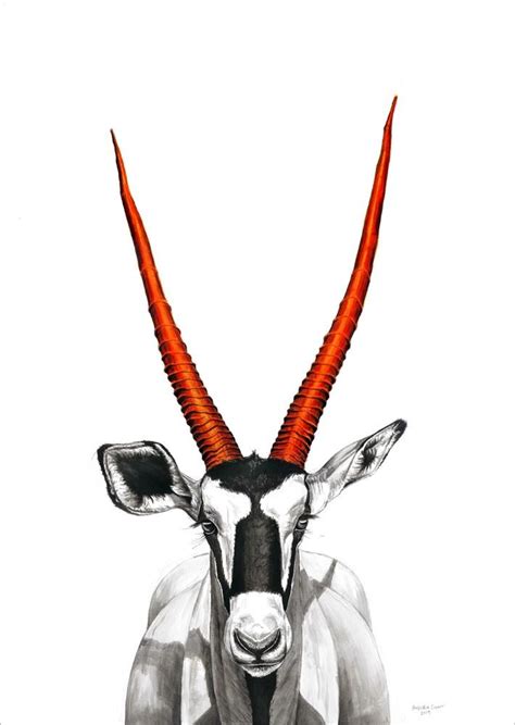 Gemsbok Drawing Free Download On Clipartmag