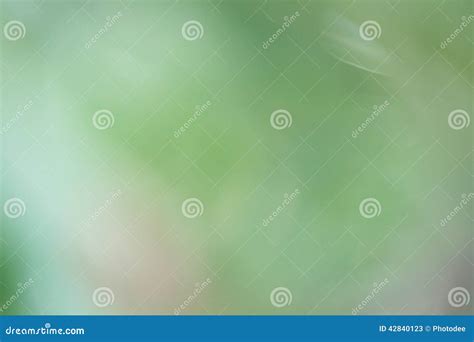 Blurred forest background stock image. Image of backdrop - 42840123