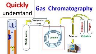 Column Gas Chromatography