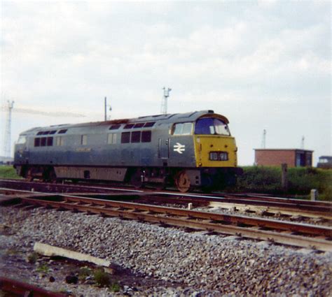 D1048 Western Lady March 5th 1974 Margam Class 52 D1048 W Flickr