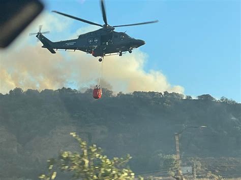 Incendio A Calatafimi Nel Bosco Di Angimb Fiamme Fino A Mezzanotte