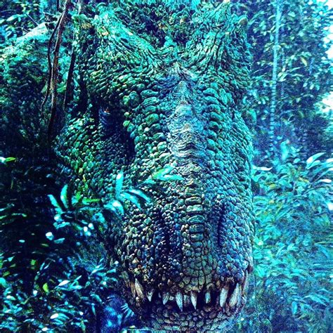 Pin By Kevinvillalba On Jurassick Parckworld Jurassic World