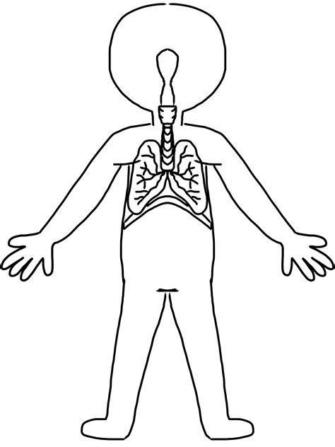 Clip Art Body Parts Children Body system fun!