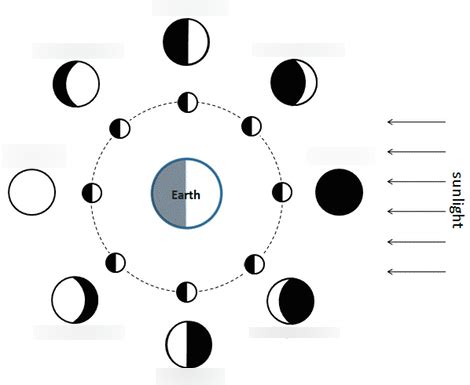 Moon Phases Study Guide Diagram | Quizlet