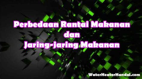 Perbedaan Antara Rantai Makanan Dan Jaring Jaring Makanan Water