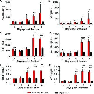 Cardiac muscle enzyme detection assay. (A to D) Levels of CK-MB, CK,... | Download Scientific ...