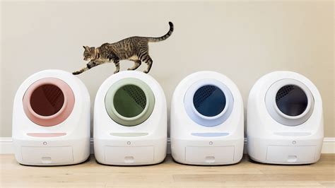 Leos Loo Too The Smart Litter Box Changing Your Cats Litter Game