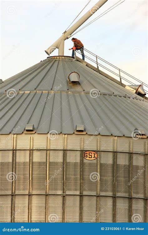 Rural Grain Worker On Top Of Metal Silo Editorial Photo Image Of