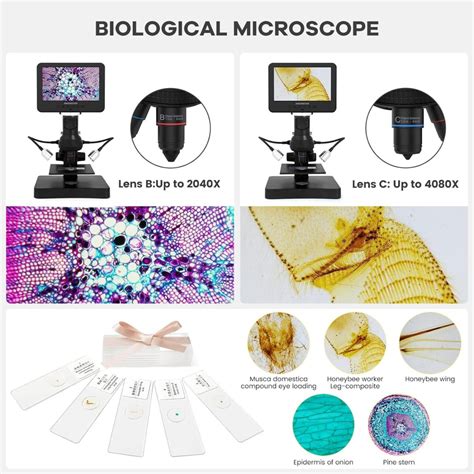 Andonstar AD246S-P HDMI Digital Microscope Review - Digital Microscopes ...
