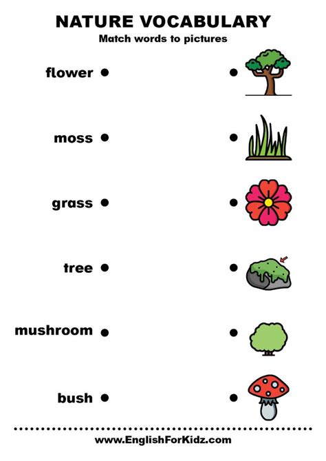 Nature vocabulary worksheet in 2024 | Vocabulary worksheets, English ...