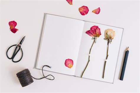 Free Photo Dry Roses Stuck On White Page Of Notebook With Scissor