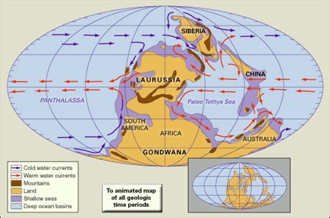 Carboniferous Period Climate Flora And Fauna Britannica