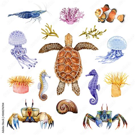 Sea life animals watercolor set. Hand drawn turtle, crab, coral fish, seahorse, jellyfish ...