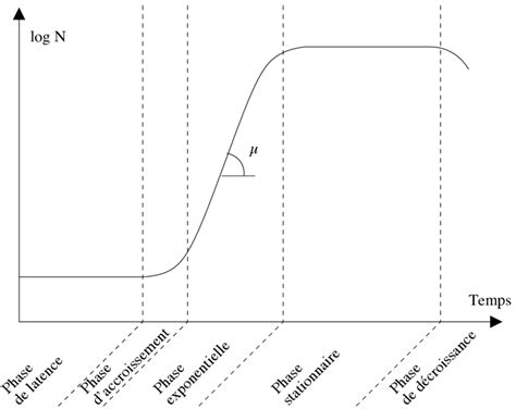 8 Structure d une courbe de croissance bactérienne représentant l