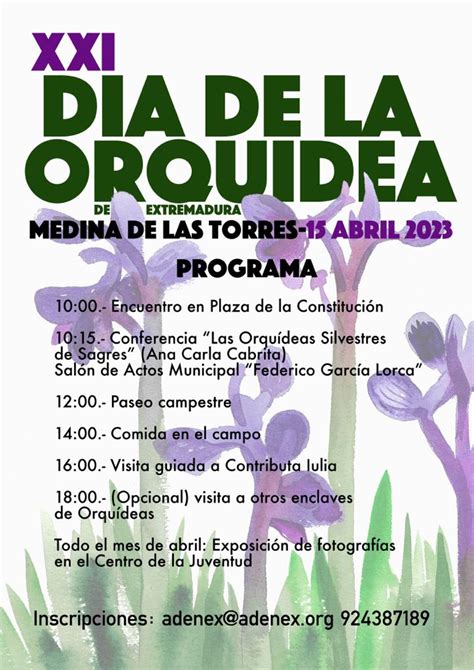 Programa De Actividades Por El Xxi D A De La Orqu Dea En Extremadura