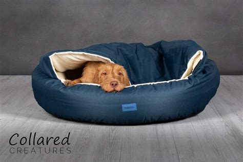 Кресло кокон для собаки 86 фото