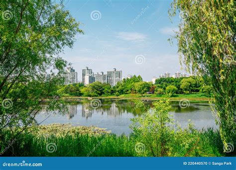 Ilsan Lake Park and Modern Buildings in Goyang, Korea Stock Photo ...