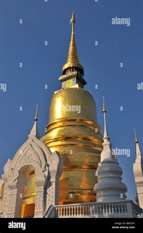 Golden Pagoda Stupa Of The Wat Suan Dok Temple In Chiang Mai