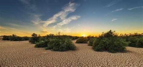 GCSE 9-1; Climate change - The Big Dry, Australia El Nino drought case study by ...