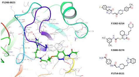 Serine Protease Screening Libraries Protease Screening Libraries