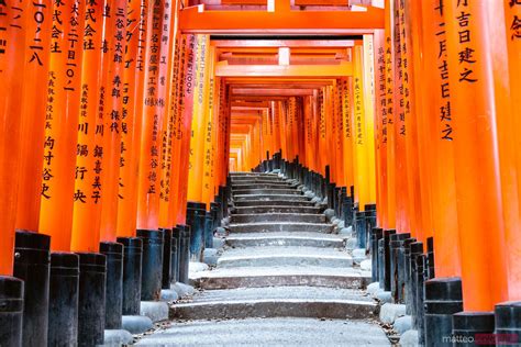 Stairs Torii Gates Fushimi Inari Taisha Kyoto Japan Royalty