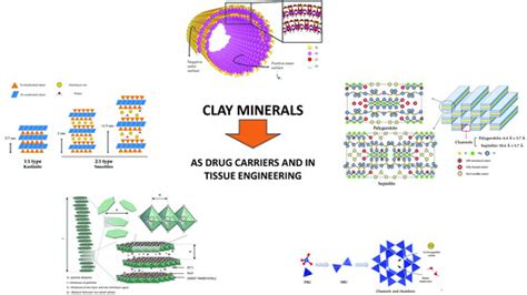 Pharmaceutics Free Full Text Natural And Synthetic Clay Minerals In